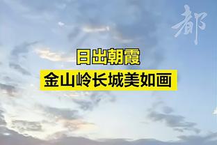 罗马诺：前切尔西和热刺主帅博阿斯成为波尔图新任主席